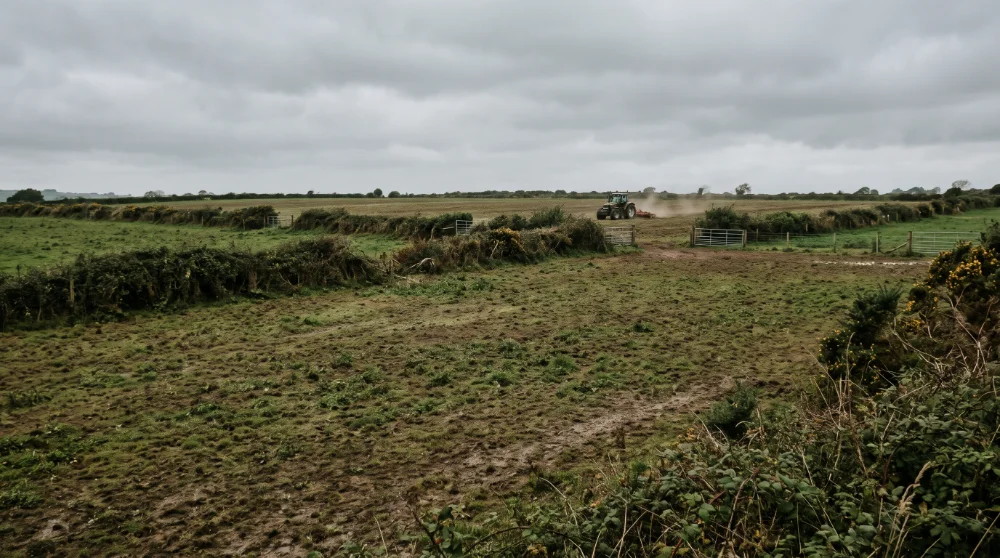 Teagasc and SCSI Report (6)